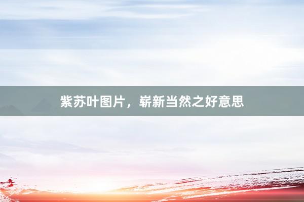 紫苏叶图片,崭新当然之好意思
