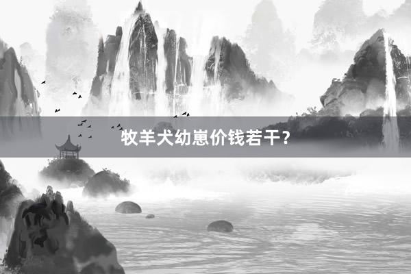 牧羊犬幼崽价钱若干？