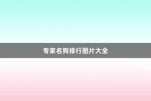 专家名狗排行图片大全