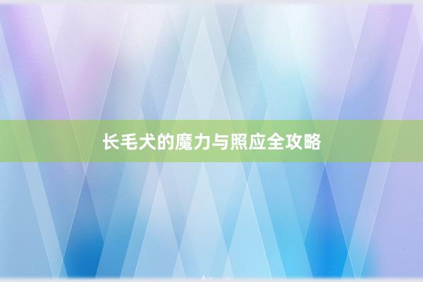长毛犬的魔力与照应全攻略